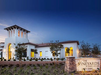 The Vineyards - Alta Land Surveying project